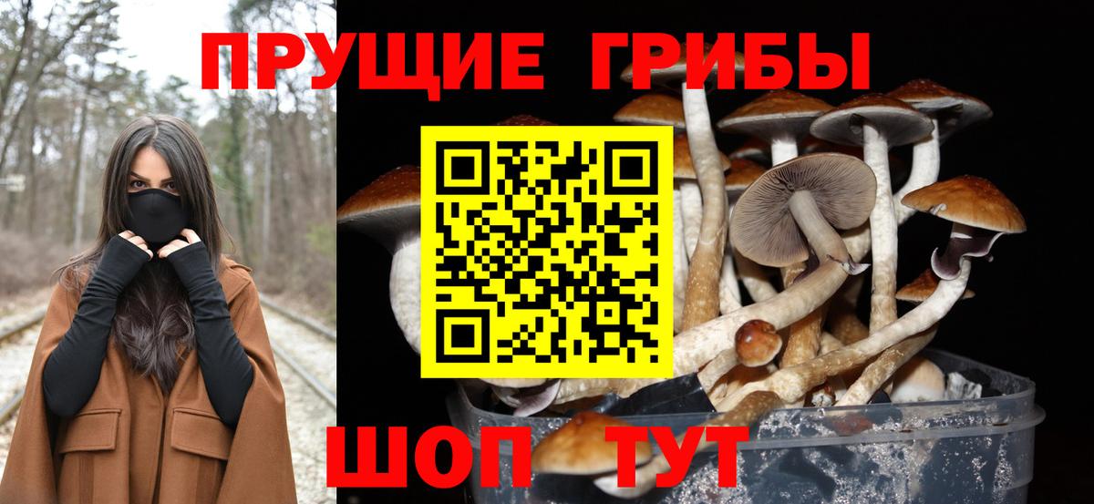 Псилоцибиновые грибы ЛСД Ефремов