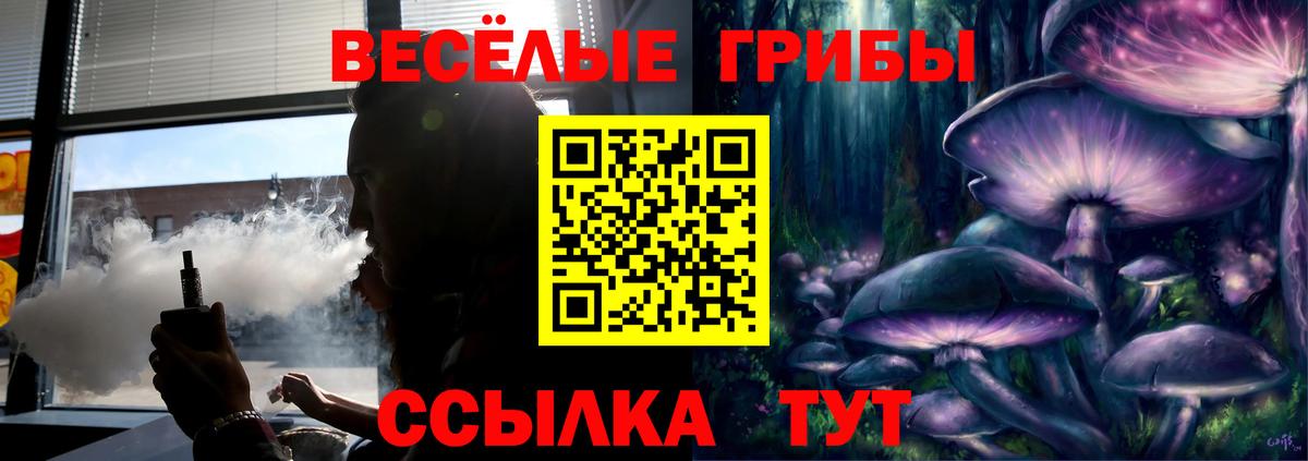 Ефремов  Псилоцибиновые грибы Cubensis  Вход с VPN 